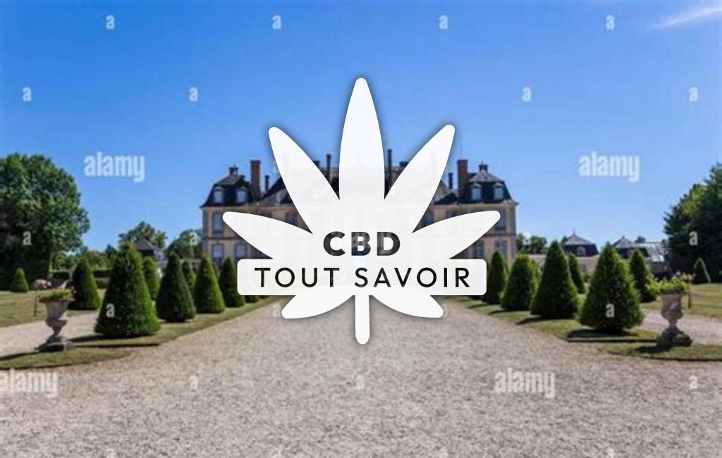 Village à La-Motte-Tilly avec feuille Cannabis CBD