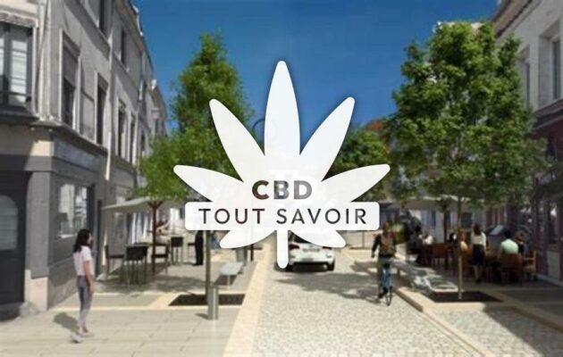 Village à Nogent-sur-Seine avec feuille Cannabis CBD