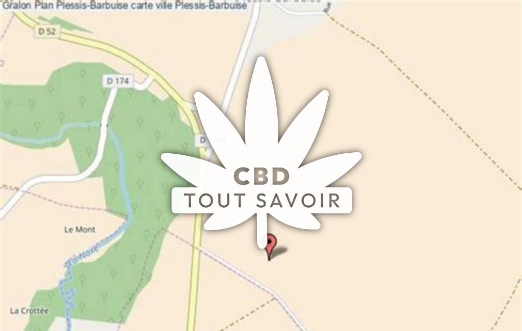 Village à Plessis-Barbuise avec feuille Cannabis CBD