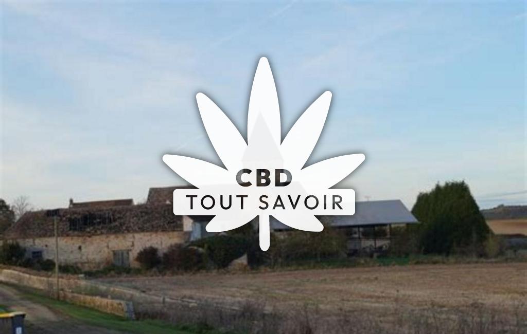 Village à Saint-Nicolas-la-Chapelle avec feuille Cannabis CBD