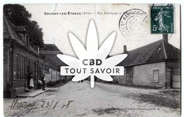 Village à Soligny-les-Etangs avec feuille Cannabis CBD