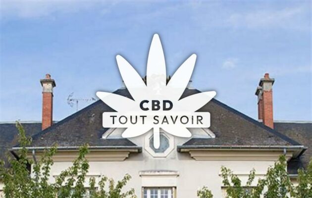 Village à Saint-Parres-aux-Tertres avec feuille Cannabis CBD