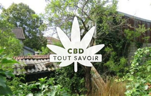 Village à Breviandes avec feuille Cannabis CBD