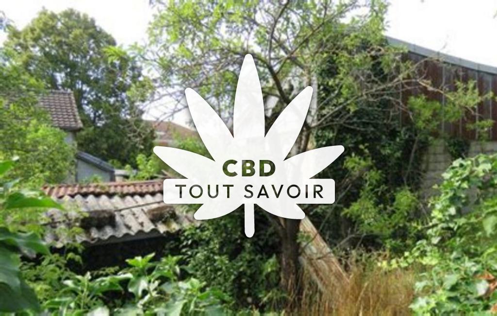 Village à Breviandes avec feuille Cannabis CBD