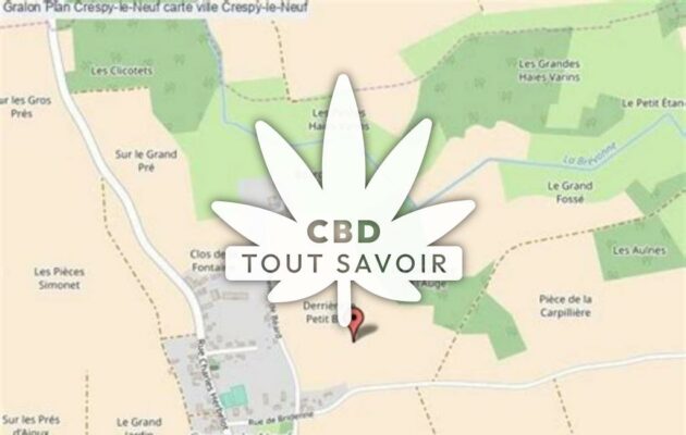 Village à Crespy-le-Neuf avec feuille Cannabis CBD