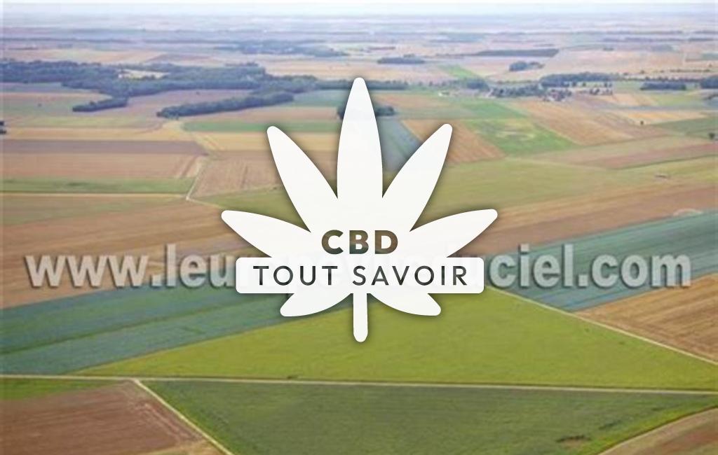 Village à Maizieres-les-Brienne avec feuille Cannabis CBD