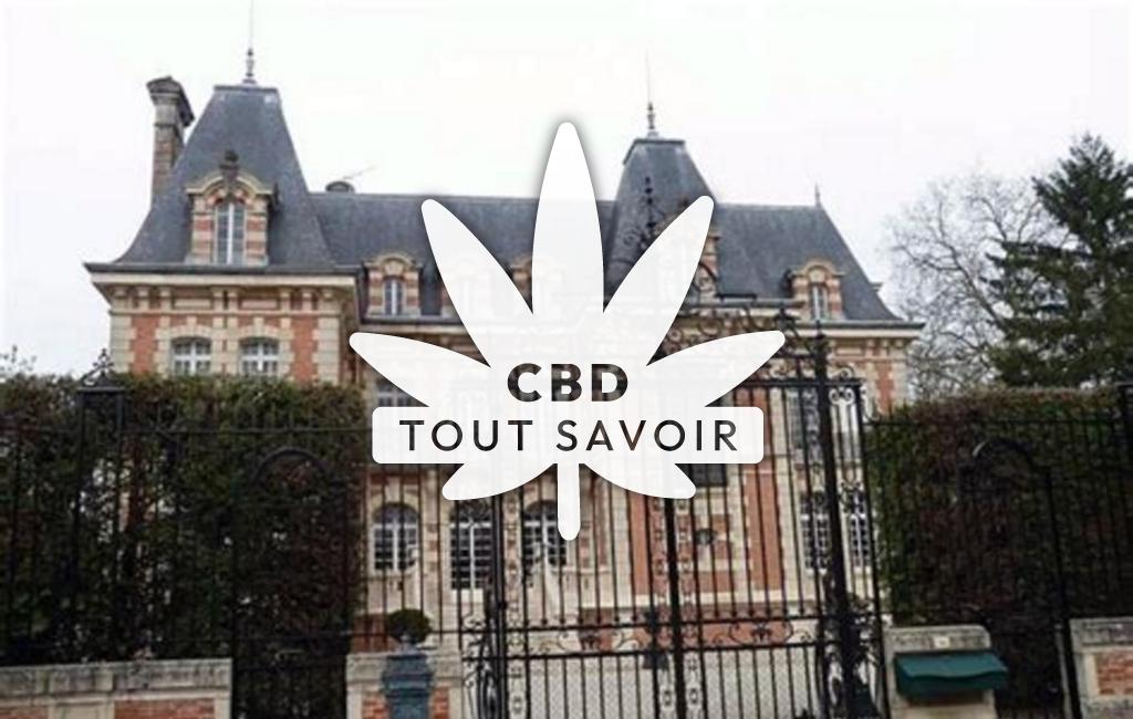 Village à Rosnay-l'Hopital avec feuille Cannabis CBD