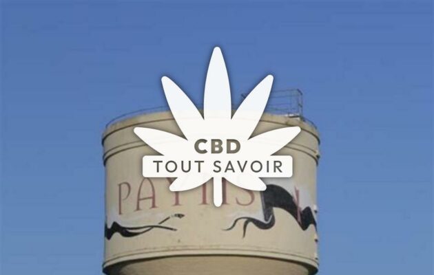 Village à Payns avec feuille Cannabis CBD