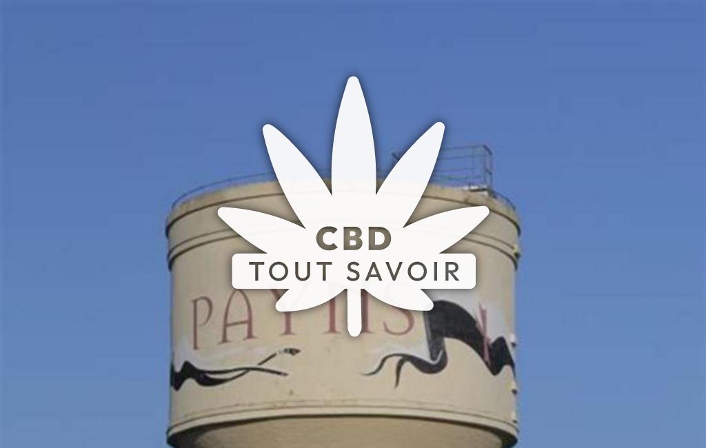 Village à Payns avec feuille Cannabis CBD