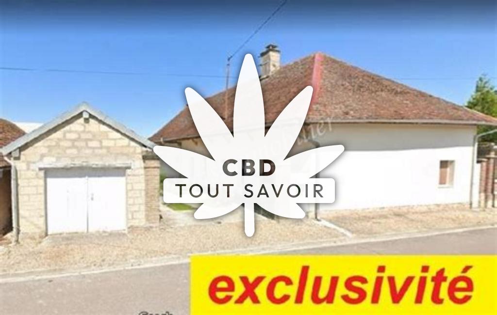 Village à Mesnil-la-Comtesse avec feuille Cannabis CBD