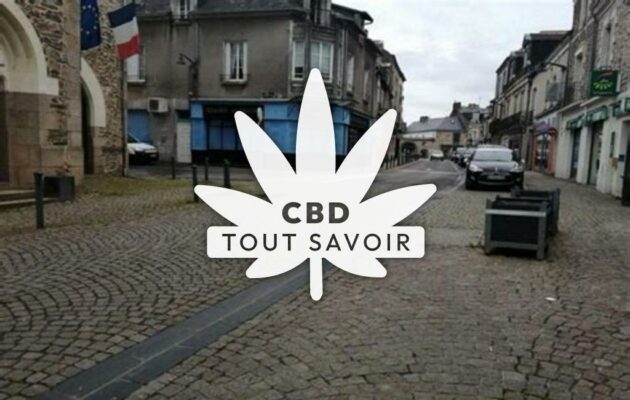 Village à Nozay avec feuille Cannabis CBD