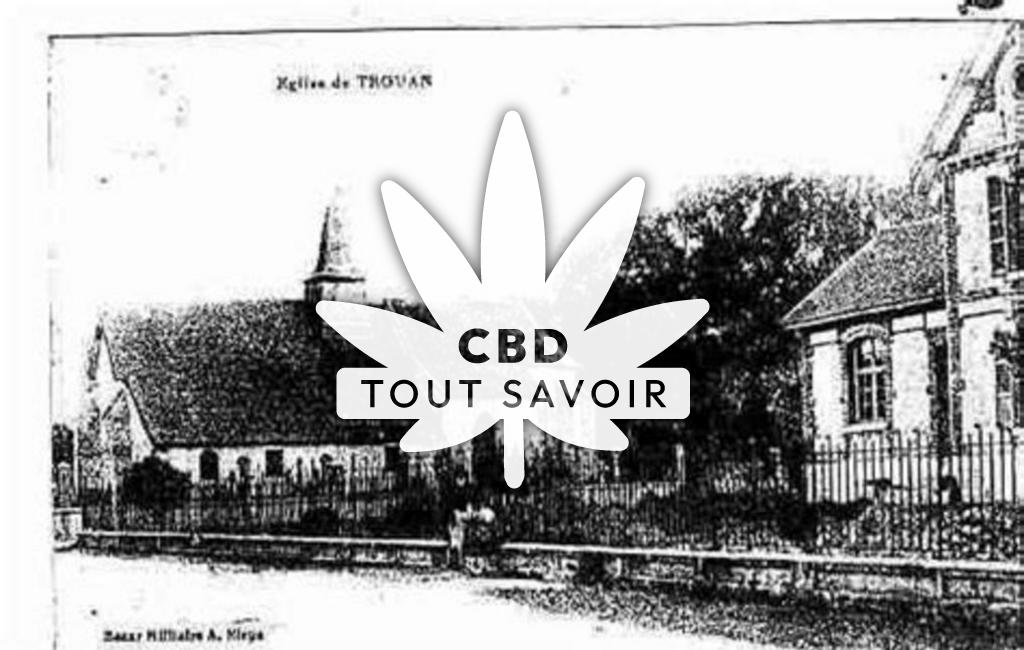 Village à Trouans avec feuille Cannabis CBD