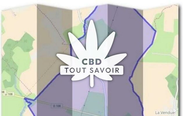 Village à Villy-le-Bois avec feuille Cannabis CBD