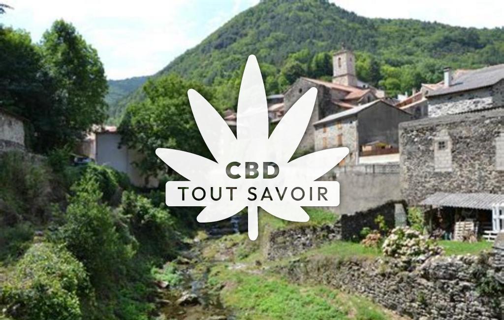 Village à Montfort-sur-Boulzane avec feuille Cannabis CBD