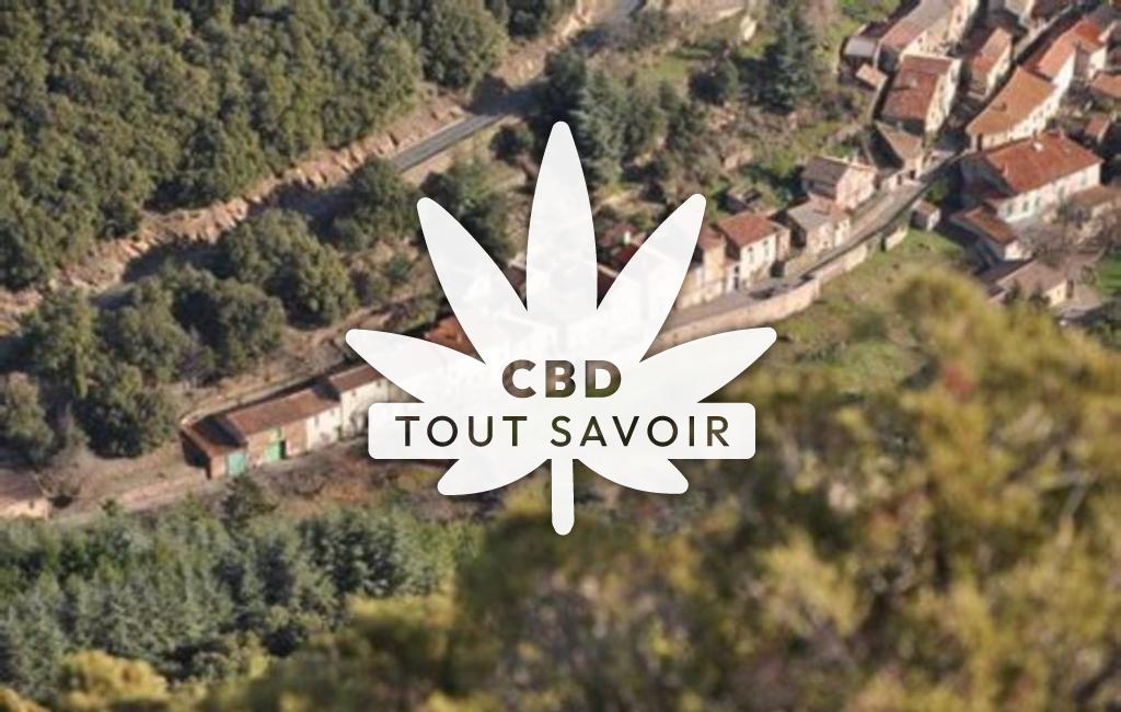 Village à Trassanel avec feuille Cannabis CBD