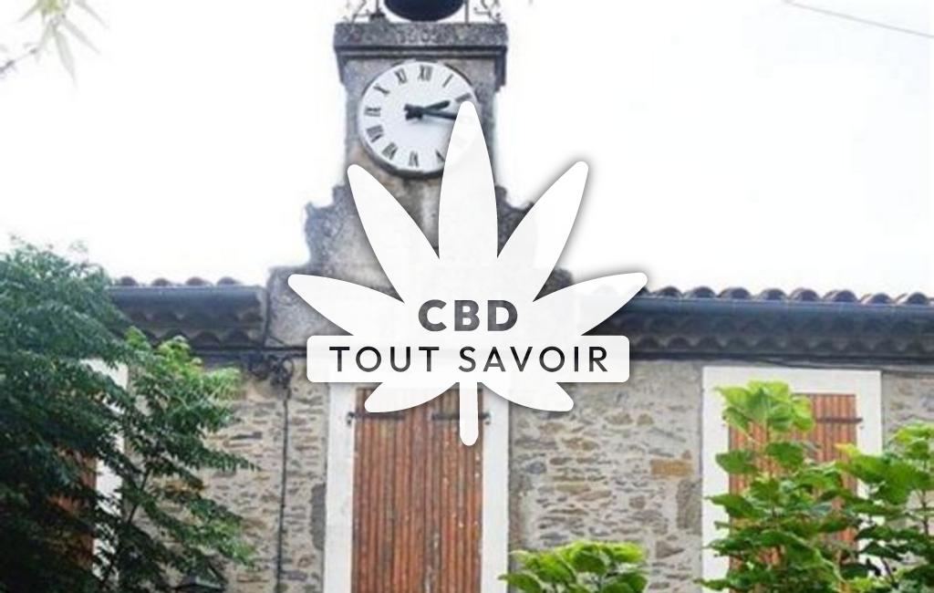 Village à Arquettes-en-Val avec feuille Cannabis CBD