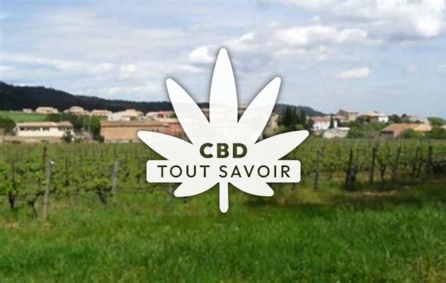 Village à Tournissan avec feuille Cannabis CBD