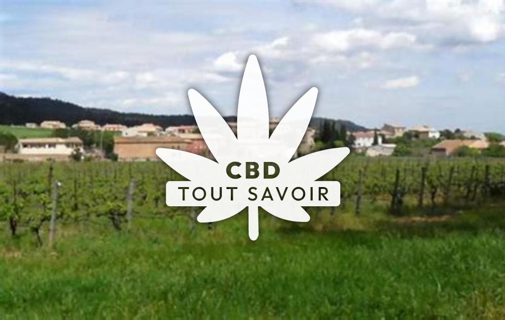 Village à Tournissan avec feuille Cannabis CBD