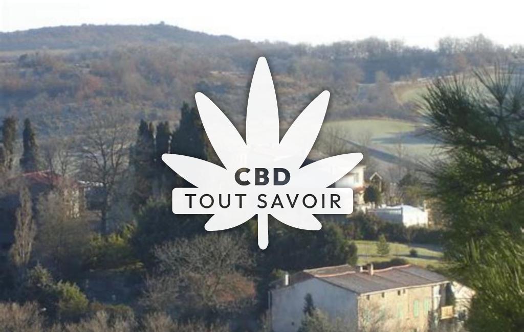 Village à Plavilla avec feuille Cannabis CBD