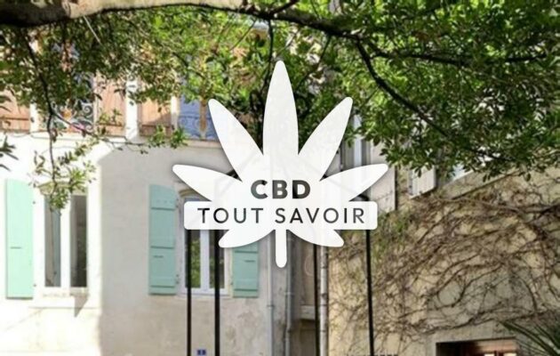 Village à Montreal avec feuille Cannabis CBD