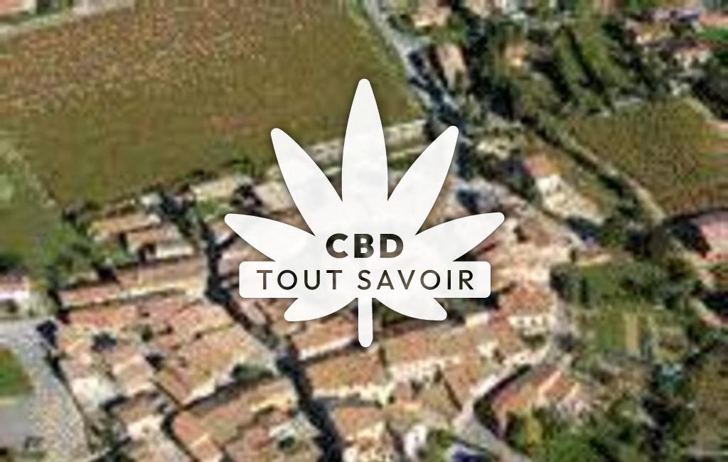 Village à La-Digne-D'Aval avec feuille Cannabis CBD