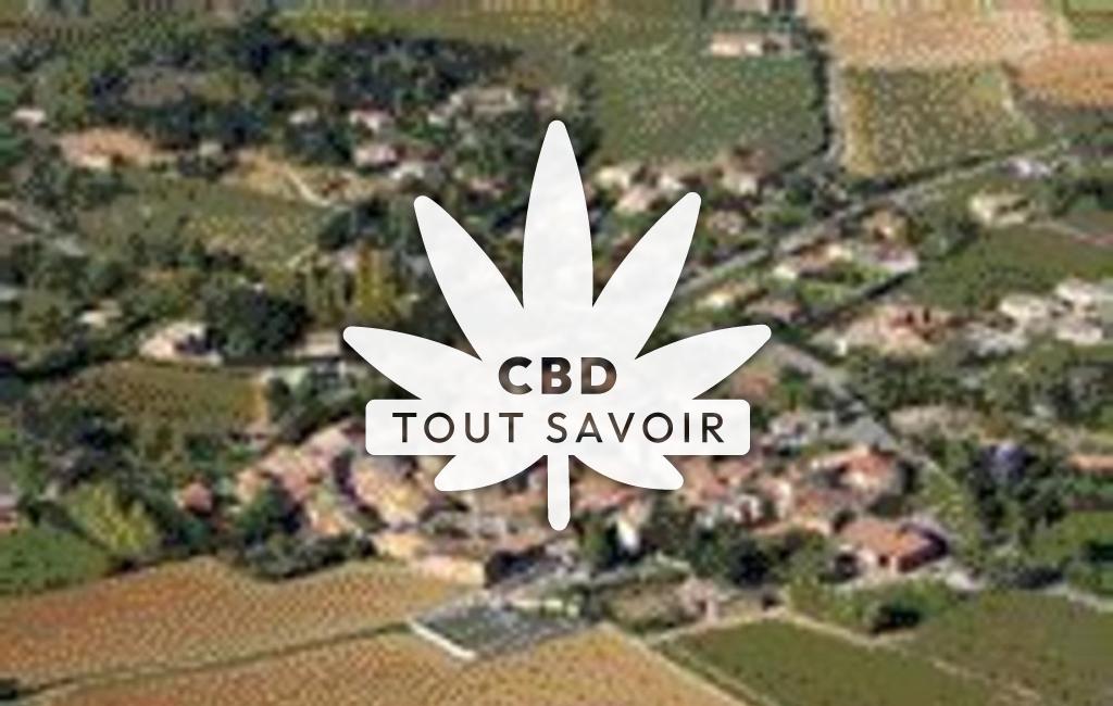 Village à La-Digne-D'Amont avec feuille Cannabis CBD