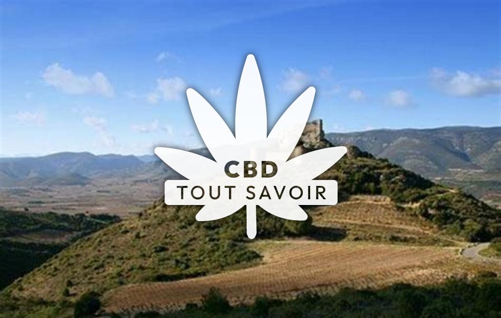 Village à Embres-Et-CaSaintelmaure avec feuille Cannabis CBD