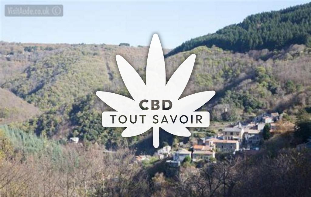 Village à Labastide-Esparbairenque avec feuille Cannabis CBD