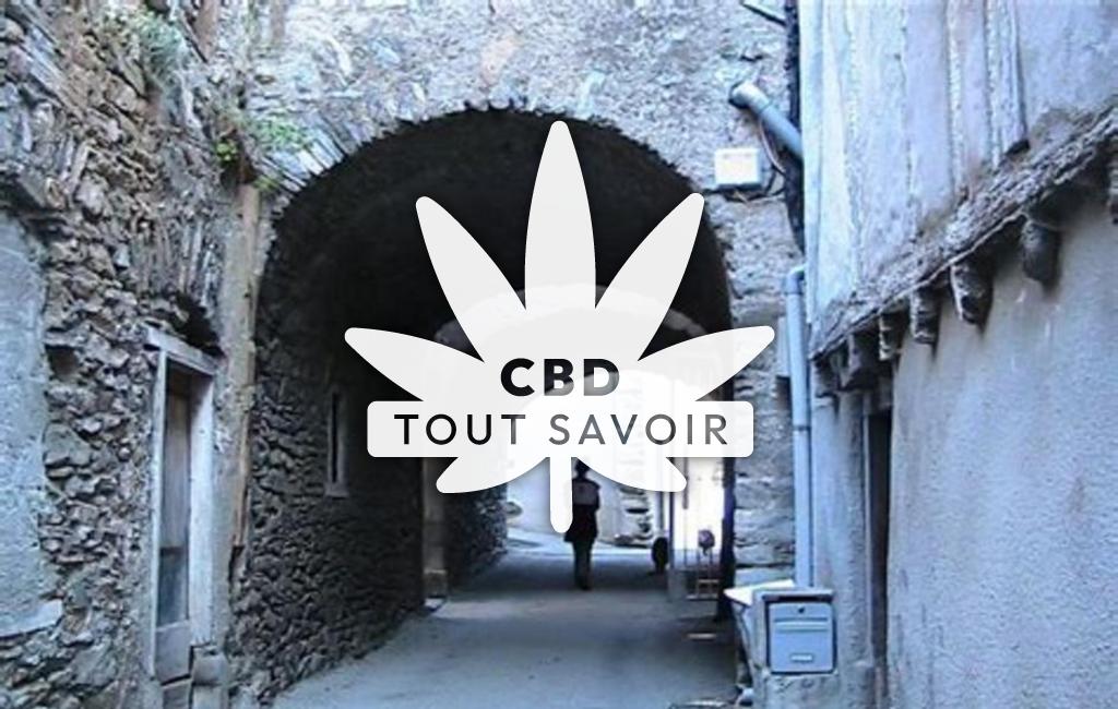 Village à Les-Ilhes avec feuille Cannabis CBD