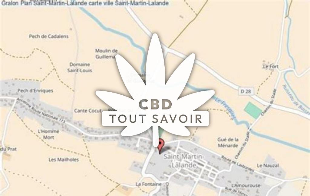 Village à Saint-Martin-Lalande avec feuille Cannabis CBD