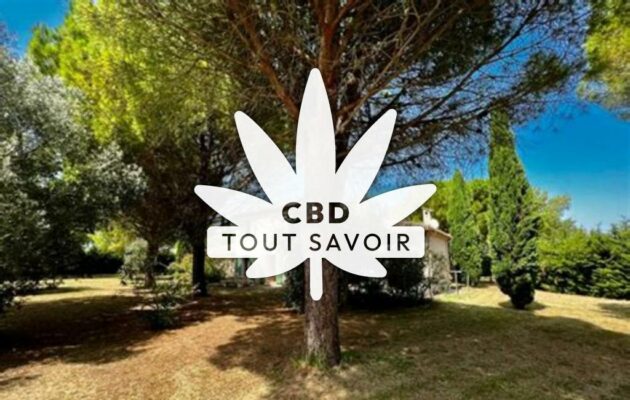 Village à Villeneuve-la-Comptal avec feuille Cannabis CBD