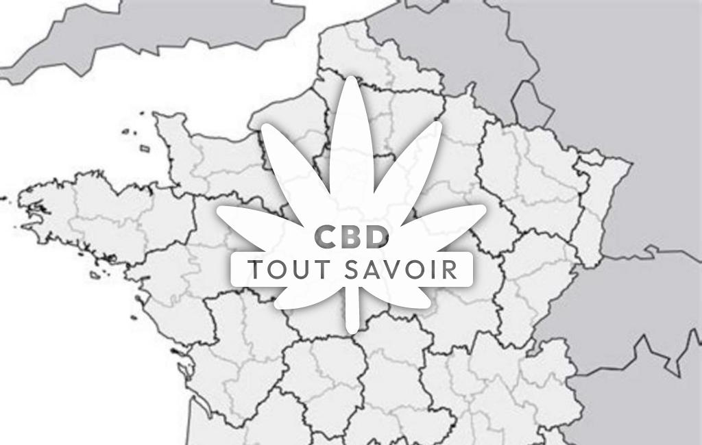 Village à Payra-sur-l'Hers avec feuille Cannabis CBD