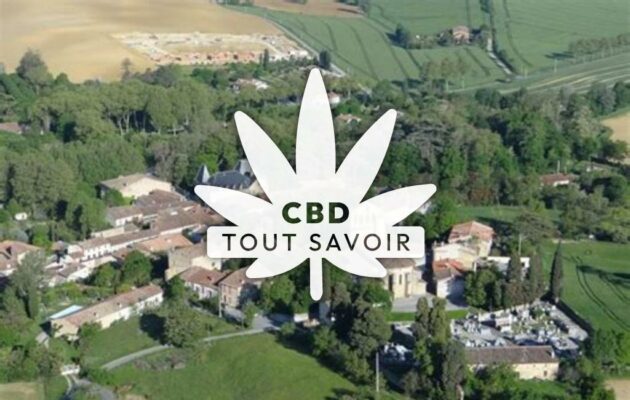 Village à Saint-Michel-de-Lanes avec feuille Cannabis CBD