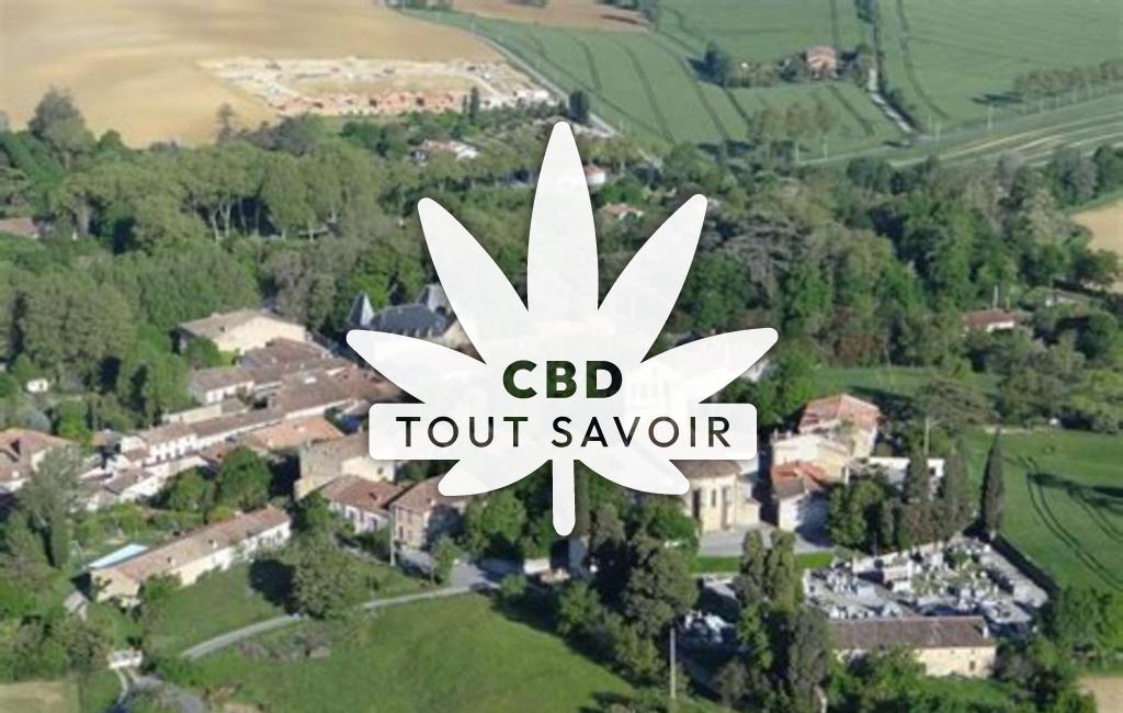 Village à Saint-Michel-de-Lanes avec feuille Cannabis CBD