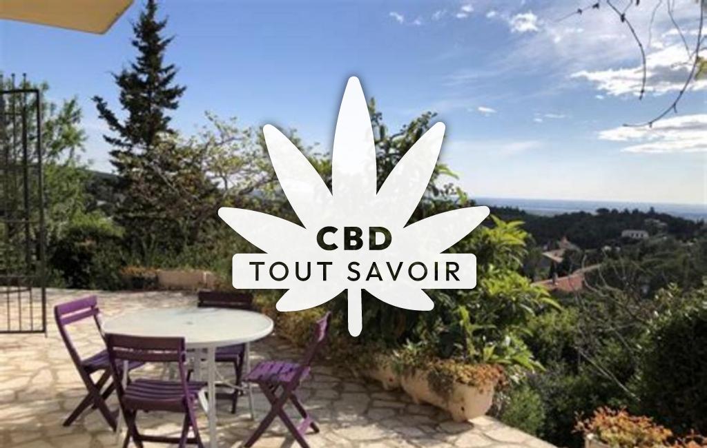 Village à Treilles avec feuille Cannabis CBD