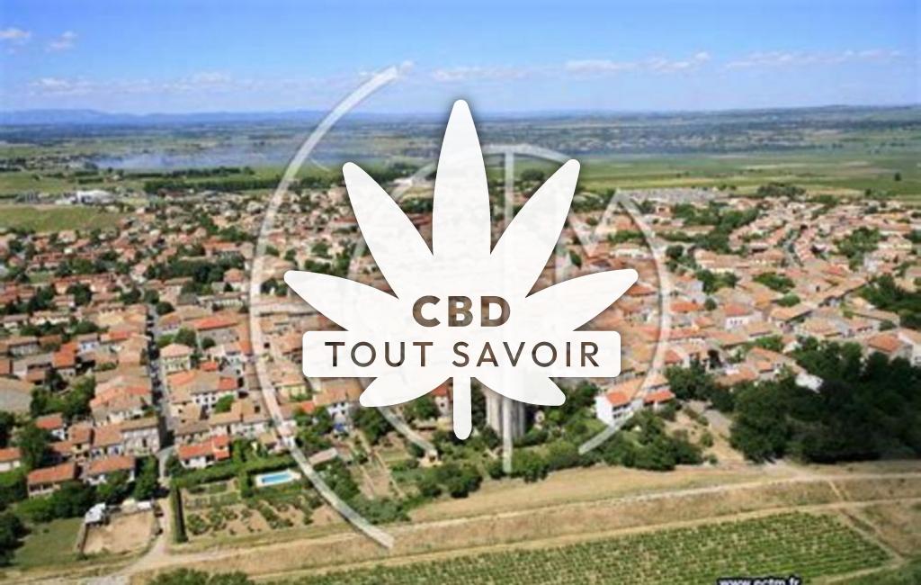 Village à Cuxac-D'Aude avec feuille Cannabis CBD