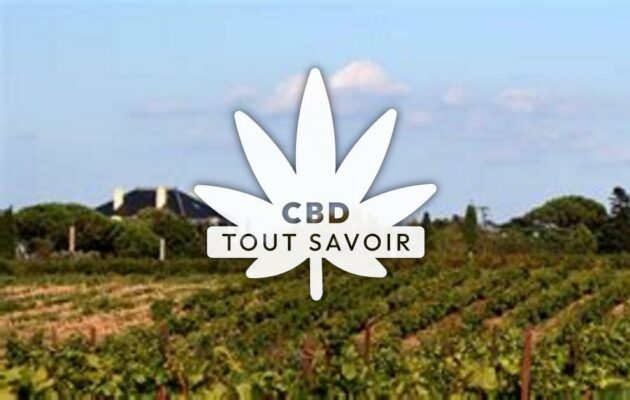 Village à Capendu avec feuille Cannabis CBD