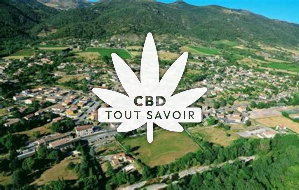 Village à Saint-Julien-en-Saint-Alban avec feuille Cannabis CBD