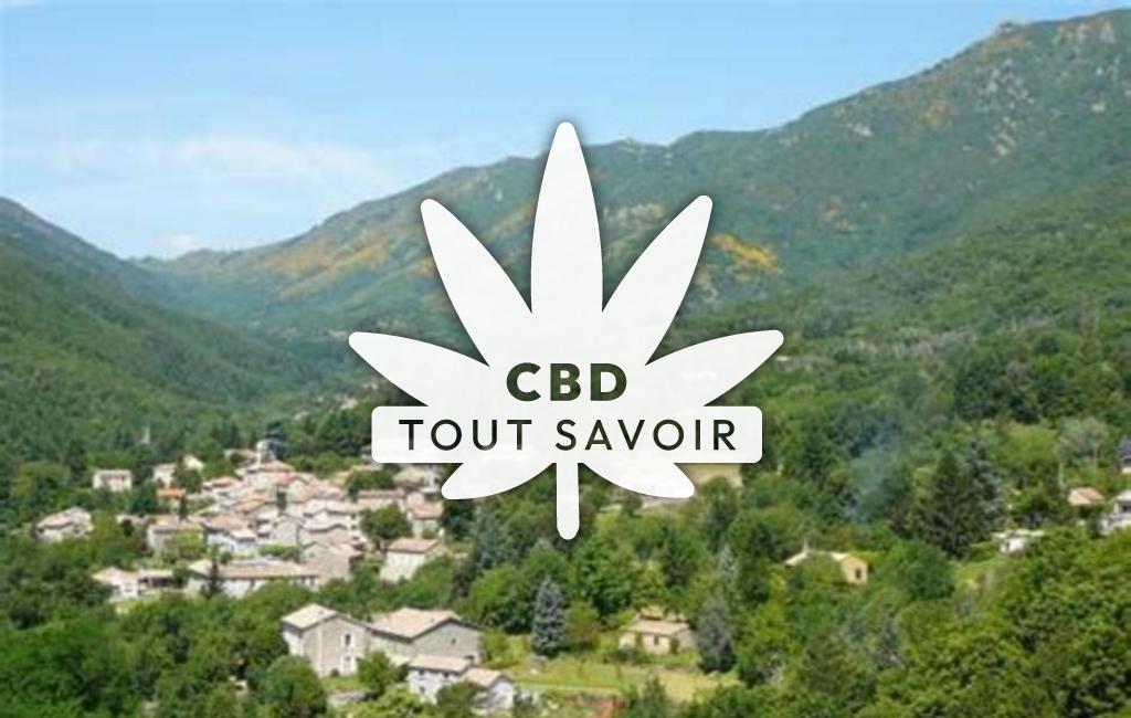 Village à Valgorge avec feuille Cannabis CBD