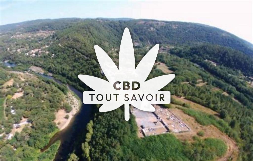 Village à Les-Salelles avec feuille Cannabis CBD