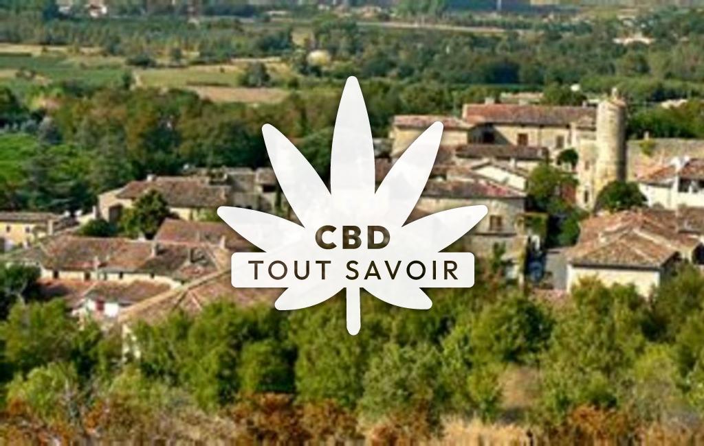 Village à Salavas avec feuille Cannabis CBD