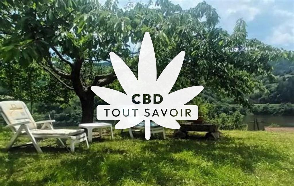 Village à Belsentes avec feuille Cannabis CBD