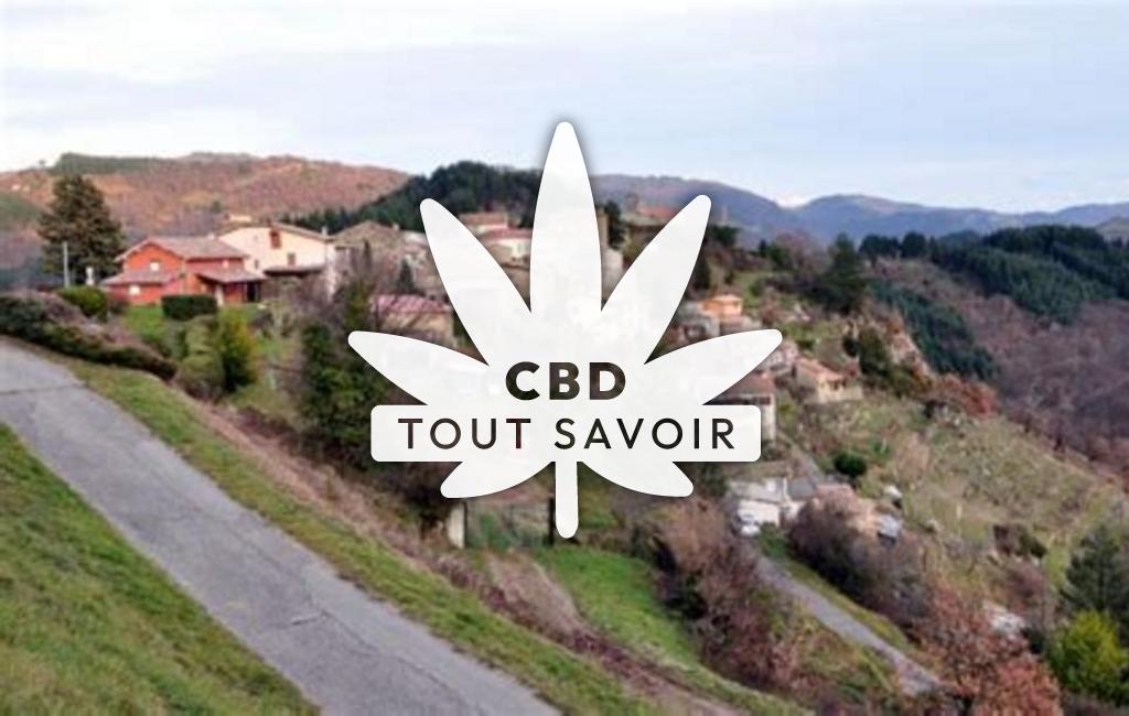 Village à Saint-Barthelemy-le-Meil avec feuille Cannabis CBD