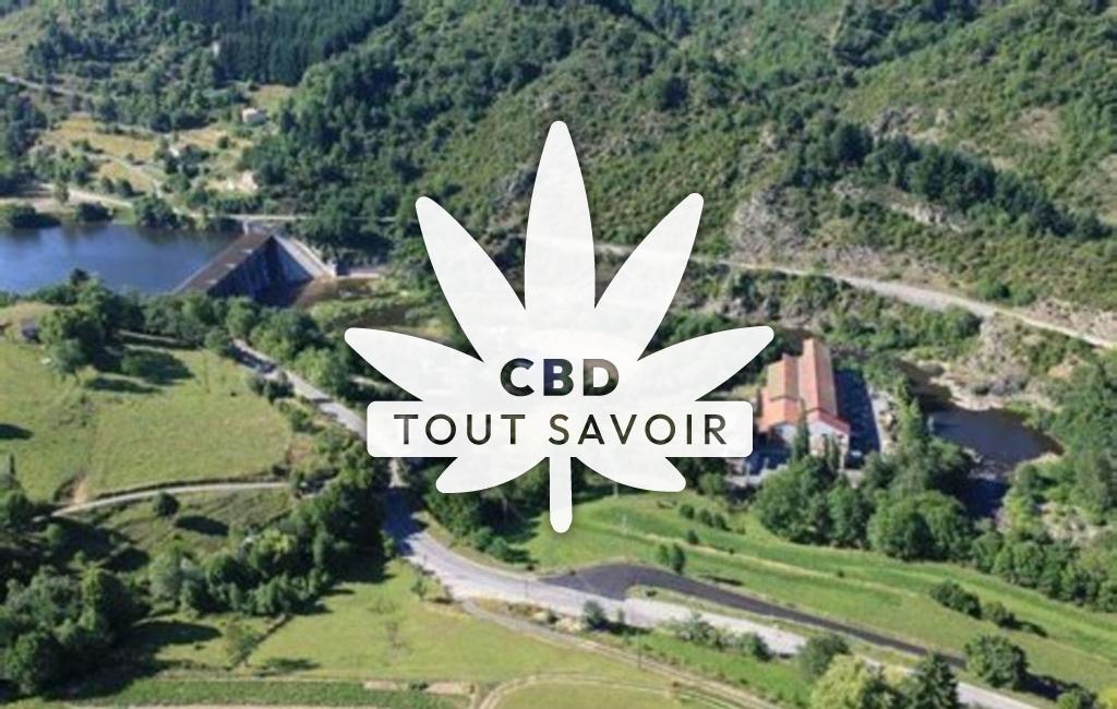 Village à Saint-Michel-D'Aurance avec feuille Cannabis CBD