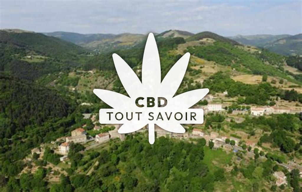 Village à Saint-Pierreville avec feuille Cannabis CBD