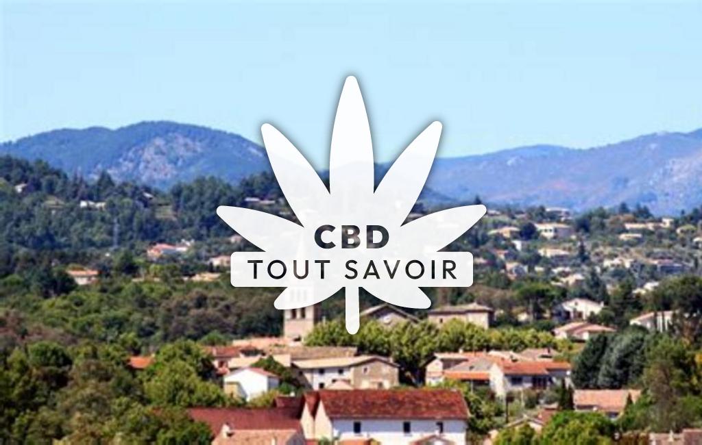 Village à Saint-Etienne-de-Fontbellon avec feuille Cannabis CBD