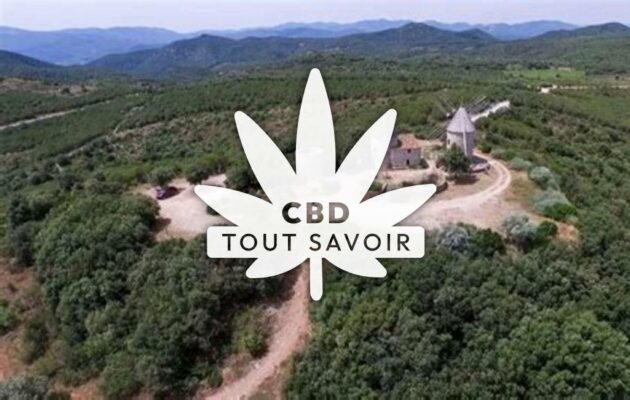 Village à Faugeres avec feuille Cannabis CBD