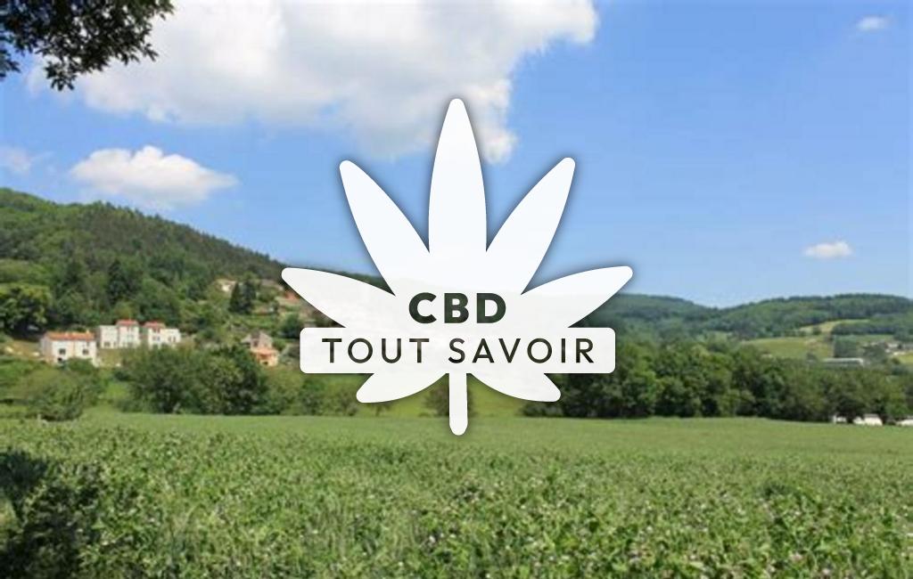 Village à Chateauneuf-de-Vernoux avec feuille Cannabis CBD