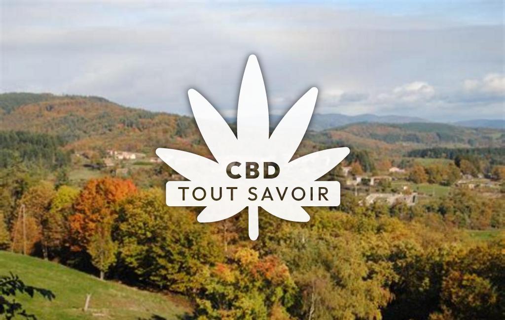 Village à Saint-Jean-Chambre avec feuille Cannabis CBD