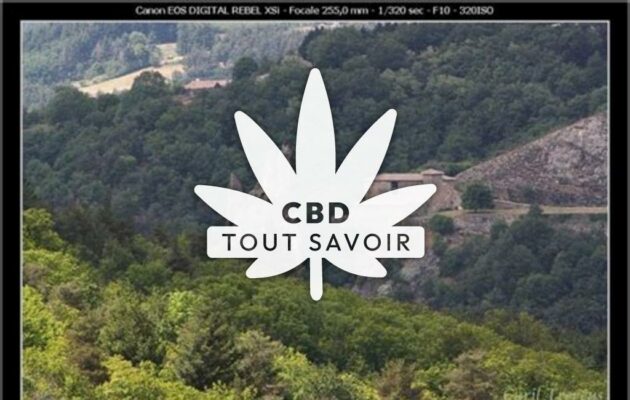 Village à Saint-Julien-le-Roux avec feuille Cannabis CBD